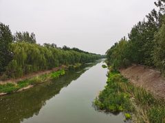 -东郊湿地公园