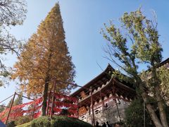 -径山寺