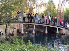 -长白岛森林公园