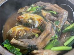 鹅掌鱼头煲-苏记餐厅(叠南店)