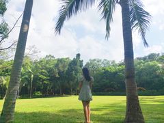 -金山植物公园