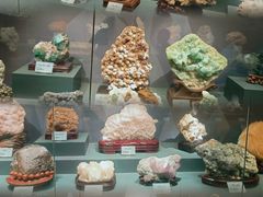 -湖南省地质博物馆