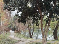 -西溪国家湿地公园