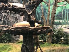-石排湾郊野公园
