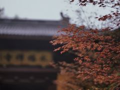 -灵隐飞来峰景区