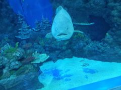 -成都浩海立方海洋公园