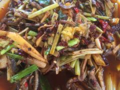 干煸鳝鱼-高坎一品甲鱼庄(两河店)