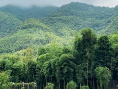 -东天目山风景区