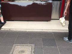 -夏氏怪老头·扬州狮子头(天山西路店)