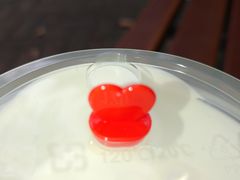 -TPLUS茶家(淮海店)