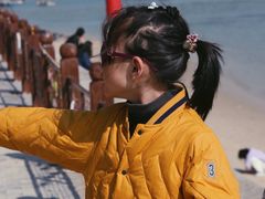 -北海金海湾红树林生态旅游区