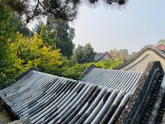 -颐和园