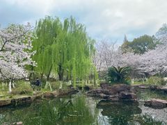 -范蠡湖公园