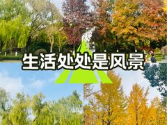 -昆山城市生态森林公园