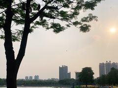 -顺峰山公园