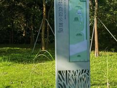 -福田红树林生态公园
