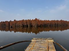 -尚湖风景区