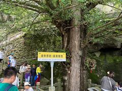 -大慈岩风景区
