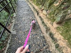 -富春桃源风景区