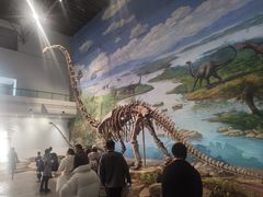 -自贡恐龙博物馆