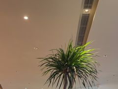 -桂满陇·蟹黄小笼汤包(巴黎春天浦建店)