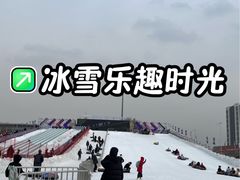 -沈阳奥体冰雪嘉年华