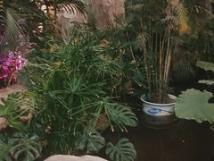 -滕头生态酒店(奉化店)