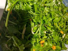 山芹菜拌千叶豆腐-日丰园海肠水饺·老字号大连海鲜(和平广场店)