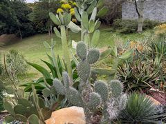 -东莞植物园