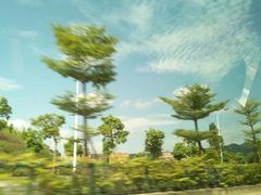 -碧桂园十里银滩