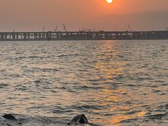 -宝安西湾红树林湿地公园