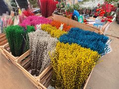 -龙大花卉苗木市场