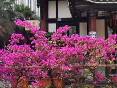 -高坎一品甲鱼庄(两河店)