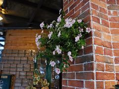 -The Flowers Coffee(南山店)