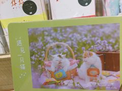 -猫的天空之城概念书店(苏州诚品店)