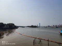 -章记正宗南岗鱼蛋火锅