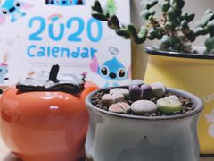 -秦美花卉(天朗·莱茵小城2期店)