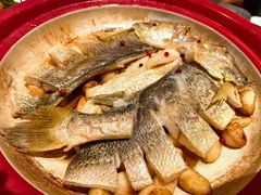 -1937青岛老味道·海肠捞饭·青岛菜(大鲍岛栈桥店)