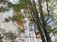 -香港大学