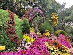 -杭州植物园