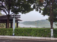 -广东花都湖国家湿地公园