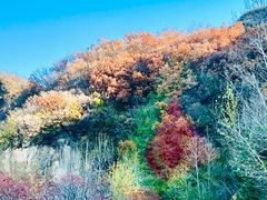 -云蒙山风景区