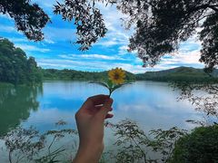 -红花湖景区