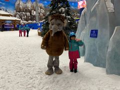 -长沙湘江冰雪世界