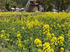 -红山村