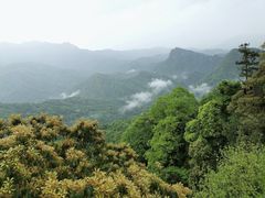 -青城山