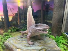 -国家自然博物馆