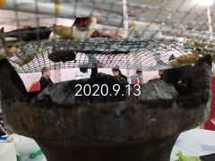 -金达莱烧烤(黎明南街店)