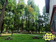 -四川大学(望江校区)