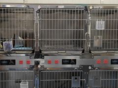 -博特宠物医院24h犬猫全科.骨科·异宠